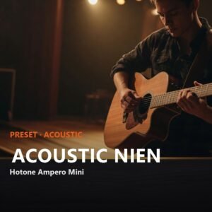 Acoustic NIEN