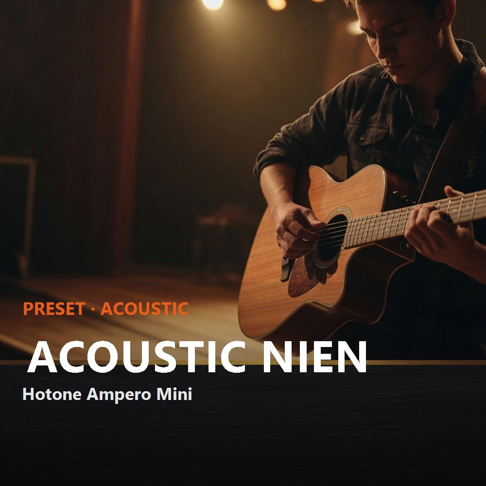Acoustic NIEN