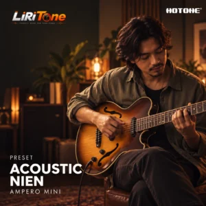 Acoustic NIEN