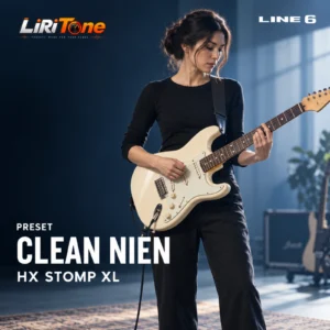 Clean NIEN