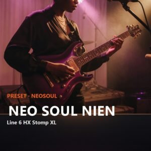 NEO SOUL NIEN