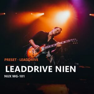 Leaddrive NIEN