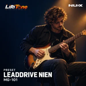 Leaddrive NIEN