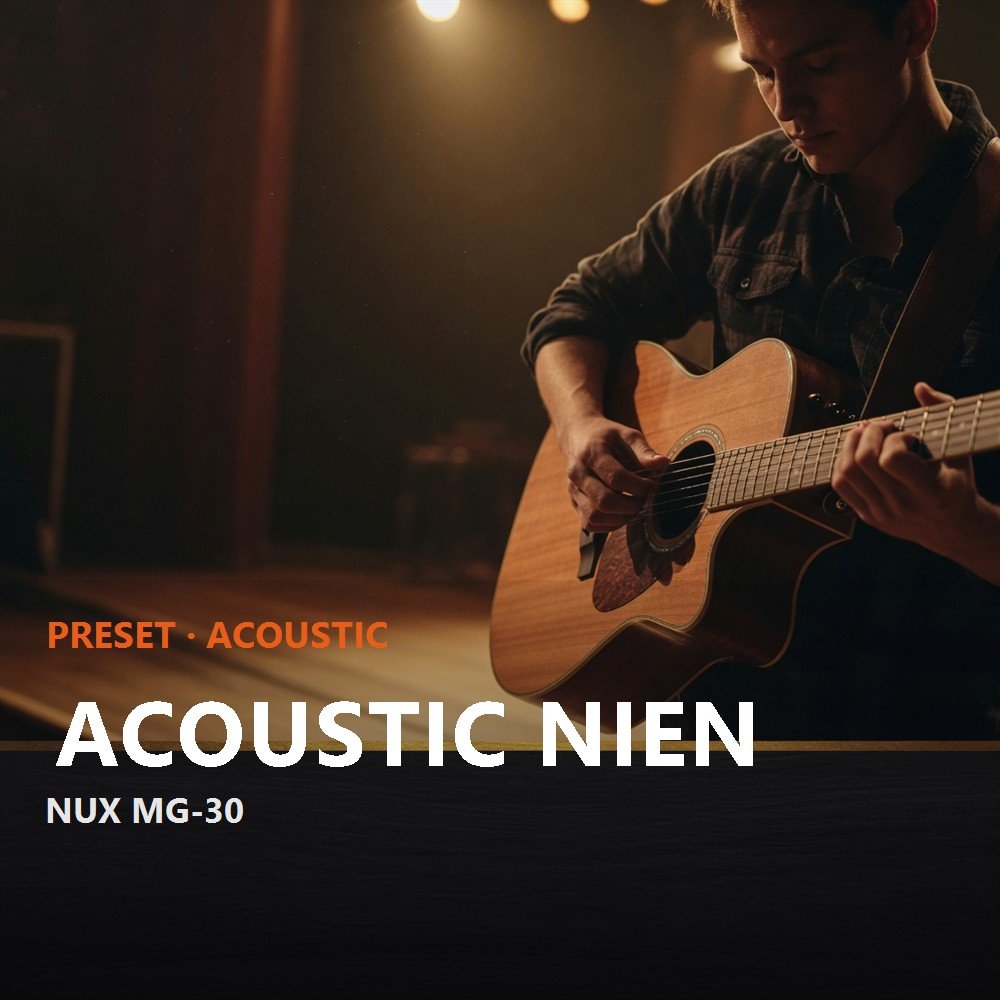 Acoustic NIEN