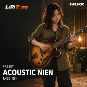 Acoustic NIEN