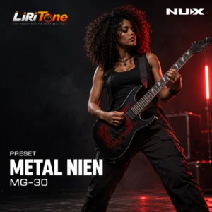 Metal NIEN