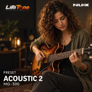 Acoustic 2