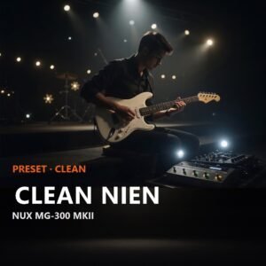 Clean NIEN