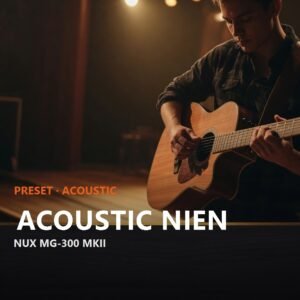 Acoustic NIEN