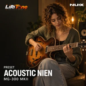 Acoustic NIEN