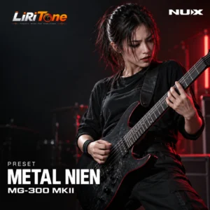 Metal NIEN