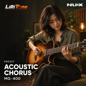 Acoustic Chorus