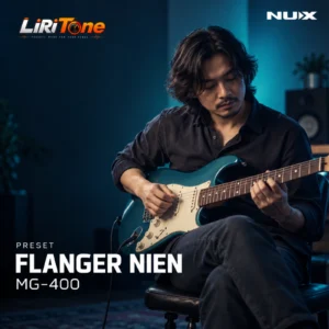 Flanger NIEN