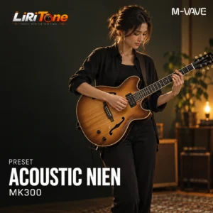 Acoustic NIEN